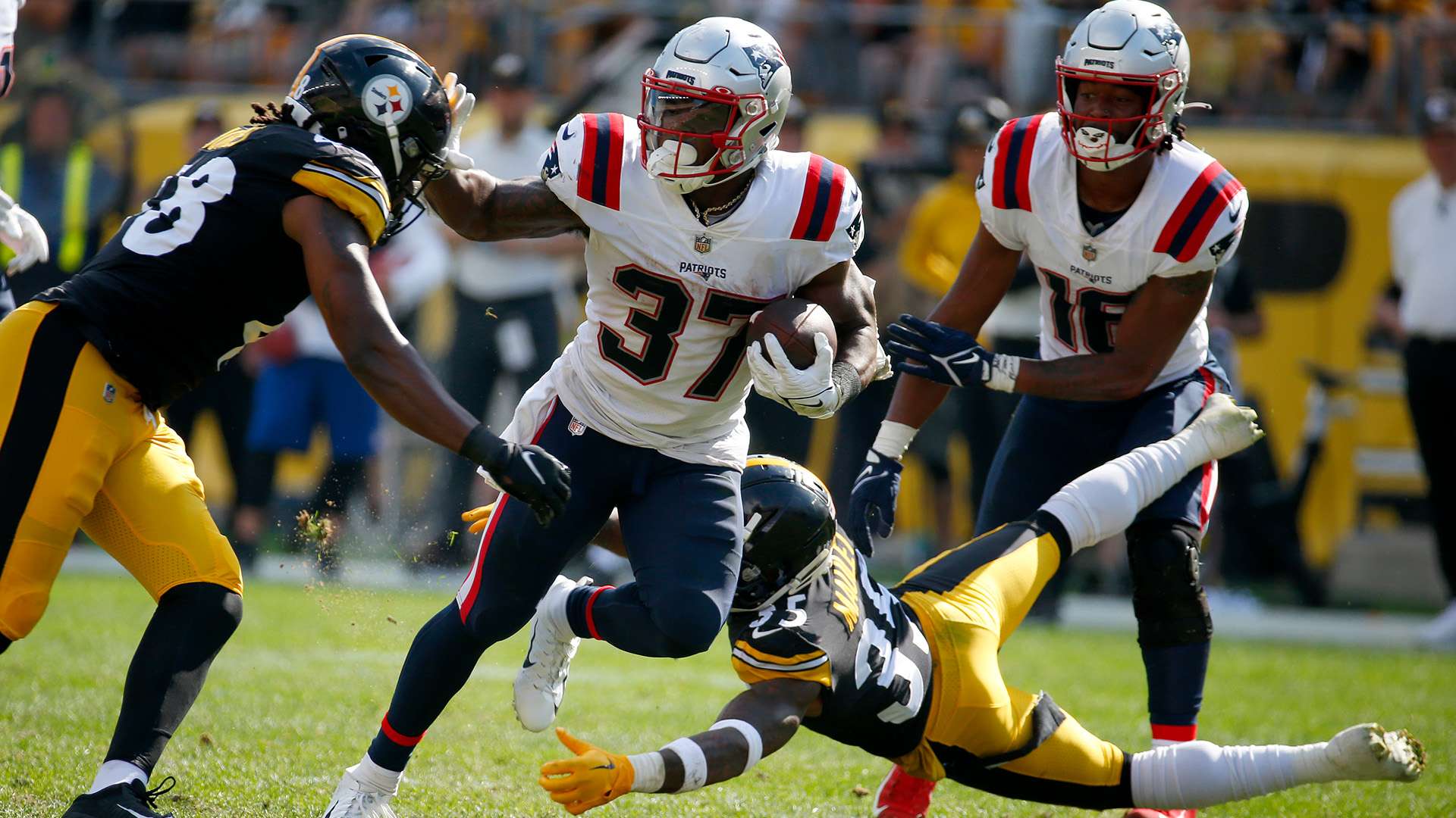 石成金效應 石成金效應